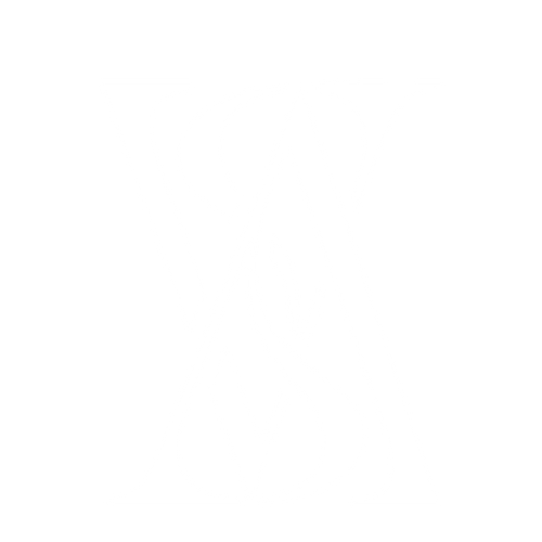 VANGUARD Studios
